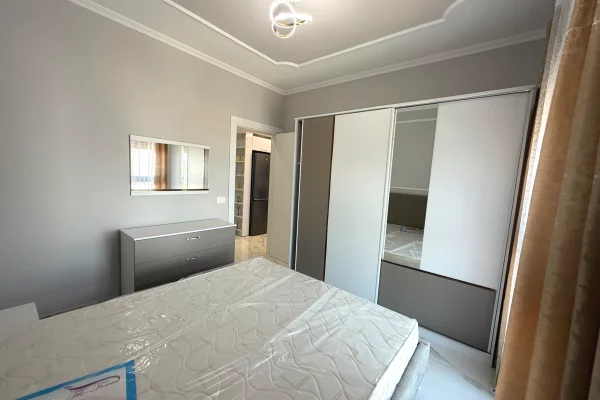 Shtepi me qera Apartament ne Tirane, 1+1, Mobilimi E mobiluar, Pagesa 50,000  Leke.
