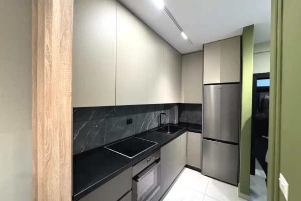Shtepi me qera Apartament ne Tirane, 1+1, Mobilimi E mobiluar, Pagesa 55,000  Leke.