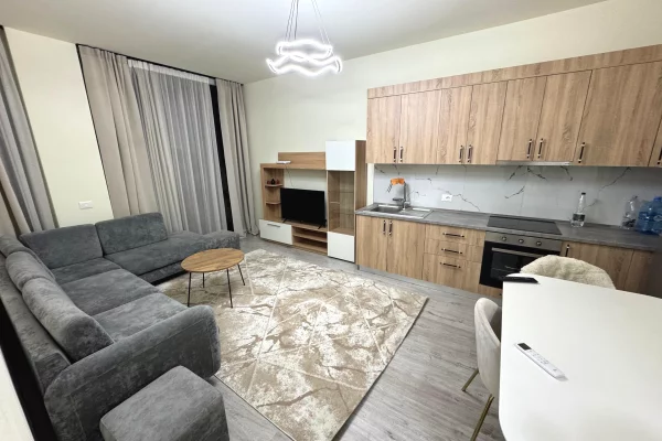 Shtepi me qera Apartament ne Tirane, 1+1, Mobilimi E mobiluar, Pagesa 55,000  Leke.