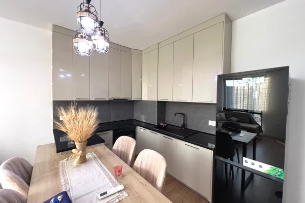 Shtepi me qera Apartament ne Tirane, 1+1, Mobilimi E mobiluar, Pagesa 55,000  Leke.