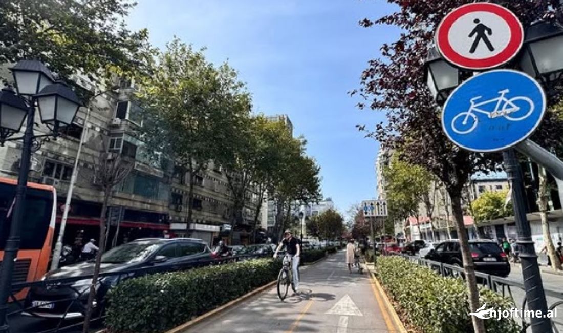 JAPIM AMBIENT OPEN SPACE TE RRUGA E KAVAJES ME QIRA