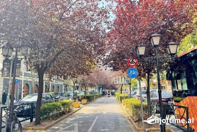 JAPIM AMBIENT OPEN SPACE TE RRUGA E KAVAJES ME QIRA