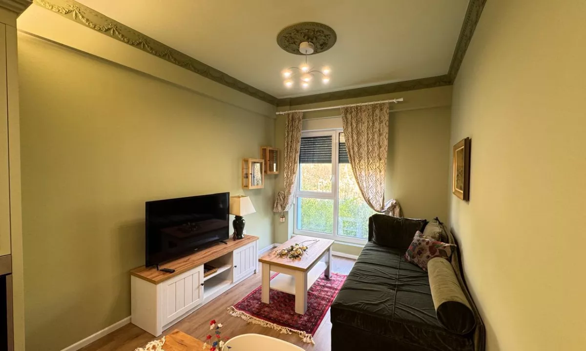 Shtepi me qera Apartament ne Tirane, 1+1, Mobilimi E mobiluar, Pagesa 500  Euro.