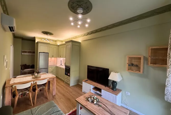 Shtepi me qera Apartament ne Tirane, 1+1, Mobilimi E mobiluar, Pagesa 500  Euro.