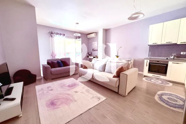 Shtepi me qera Apartament ne Tirane, 1+1, Mobilimi E mobiluar, Pagesa 60,000  Leke.