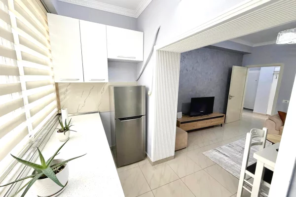 Apartment for rent in Tirana 1+1, Furnished