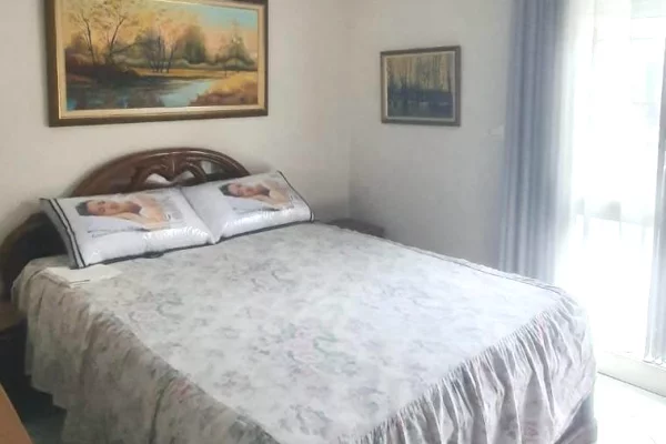 Appartamento in affitto a Tirana 2+1, Arredato