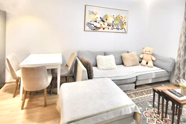 Apartment for sale in Tirana 1+1, Furnished