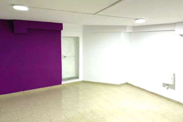 AMBIENT DUPLEX PER SHITJE SHKOLLA BALETIT*