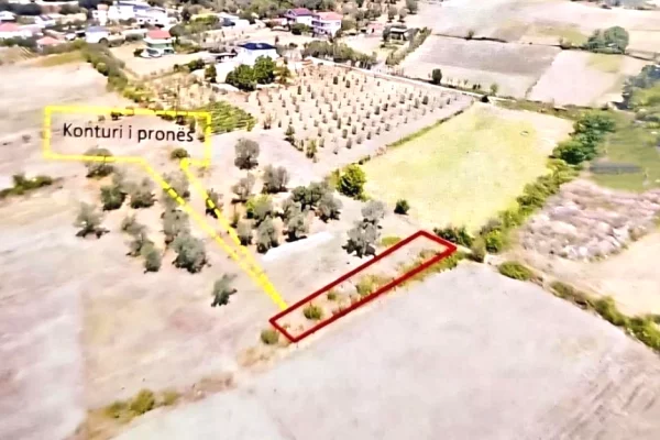 Truall ose Toke ne Tirane - 31,000 Euro