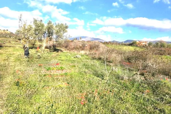 Truall ose Toke ne Tirane - 31,000 Euro