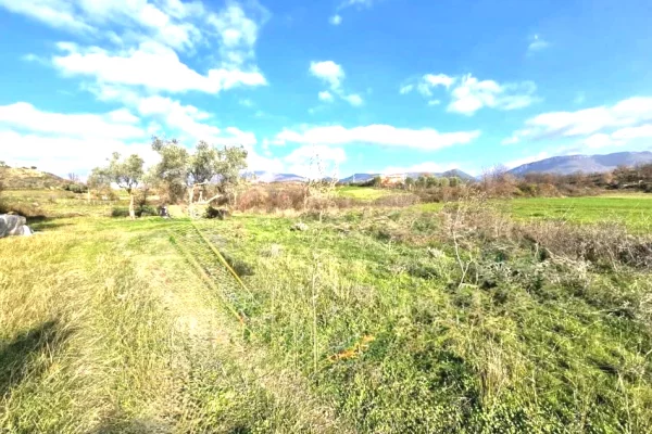 Truall ose Toke ne Tirane - 31,000 Euro