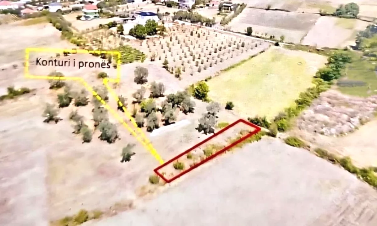 SHITET TOKE NE MULLET-PRANE EQUOS RESORT*