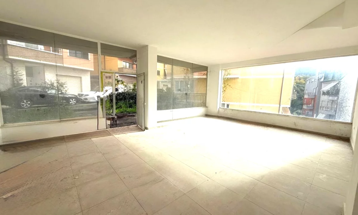 SHITET AMBIENT BIZNESI TE LIQENI I THATE*