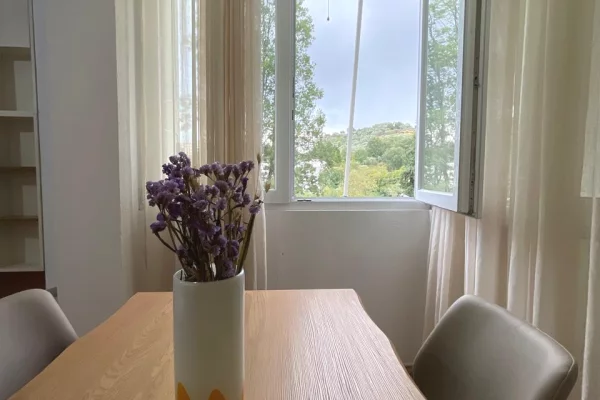 Shtepi me qera Apartament ne Tirane, 2+1, Mobilimi E mobiluar, Pagesa 650  Euro.