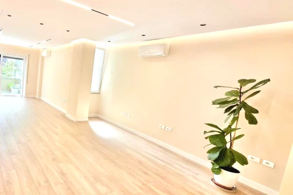 Ambient biznesi me qera 1+1 ne Tirane - 250,000 Leke