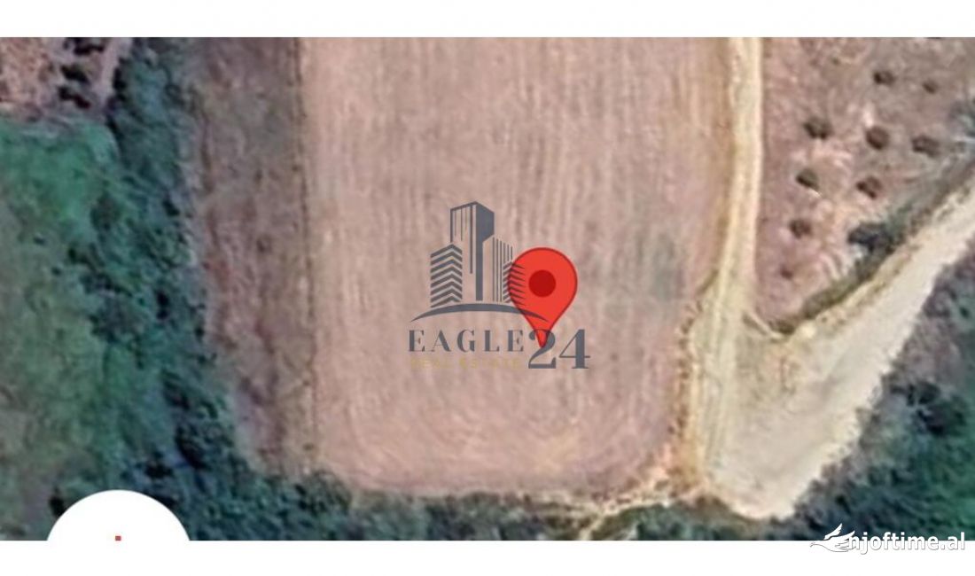 Shitet Toke ne Babrru , Tirane