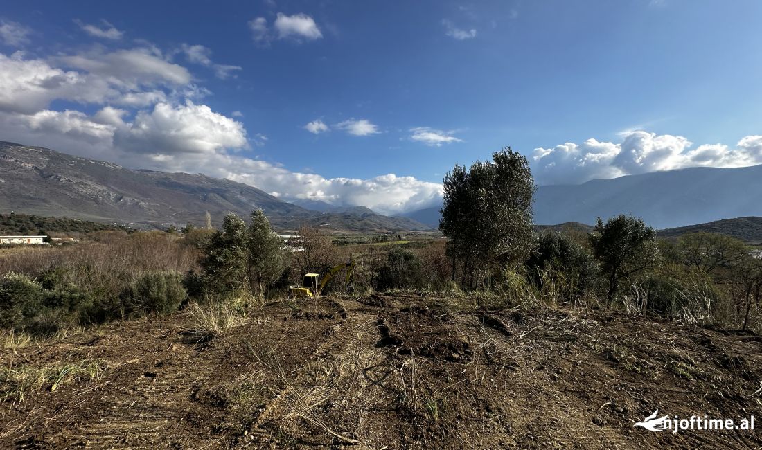 Shitet toke truall 8000m