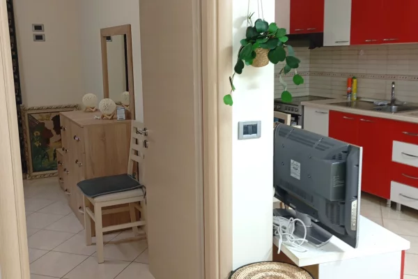 Shtepi ne shitje Apartament ne Tirane, 1+1, Mobilimi E mobiluar, Pagesa 96,099  Euro.