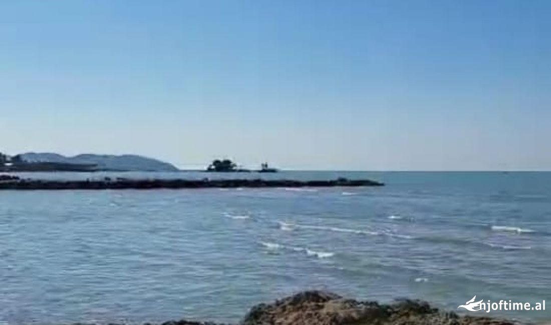 Shitet toke, bregdet. Karpen, Kavaje. Vije e pare