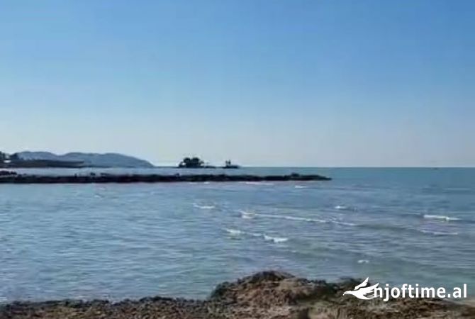 Shitet toke, bregdet. Karpen, Kavaje. Vije e pare