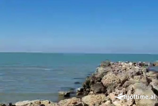 Shitet toke, bregdet. Karpen, Kavaje. Vije e pare