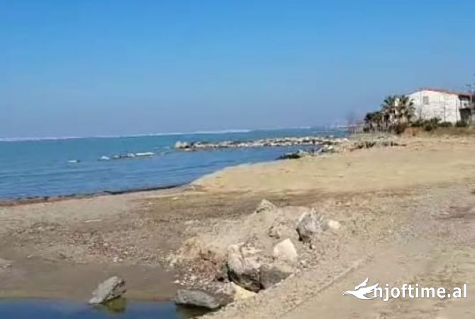 Shitet toke, bregdet. Karpen, Kavaje. Vije e pare