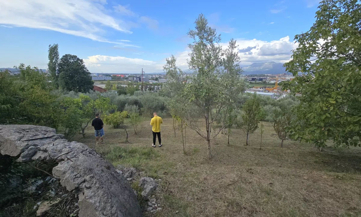 Shitet Toke ne Mezez, Ideale per Shtepi Privat  