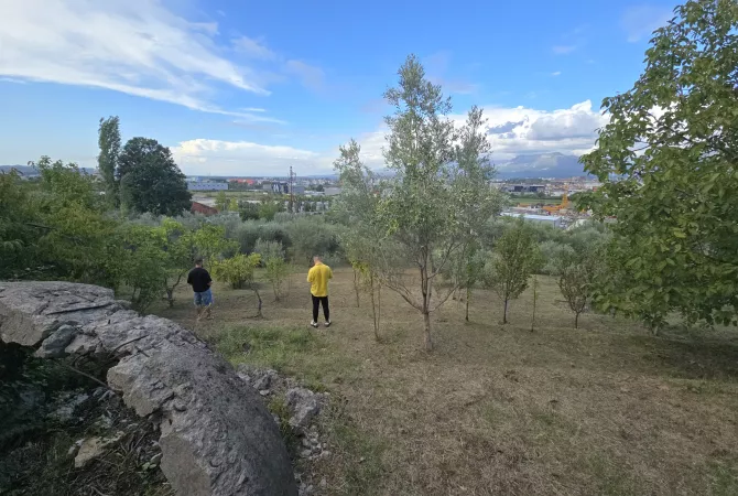 Truall ose Toke ne Tirane - 403,000 Euro