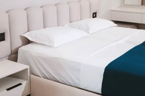 Shtepi me qera Apartament ne Tirane, Garsoniere, Mobilimi E mobiluar, Pagesa 110,000  Leke.