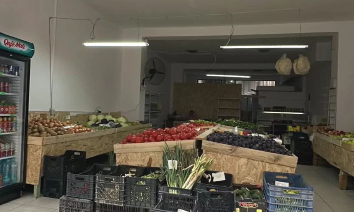 Ambient Biznesi per Shitje – Fresk, prane Shkolles 9-vjecare “Qesarake” 