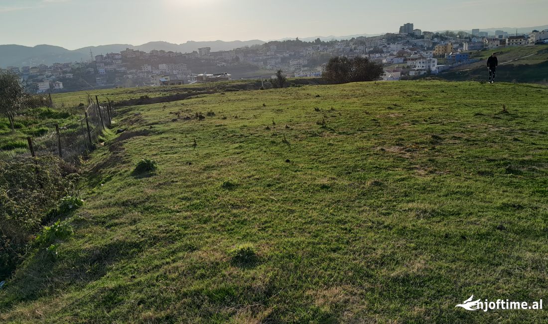 Shitet toke ne Farke 1000m2