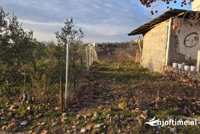 Shitet toke ne Farke 1000m2