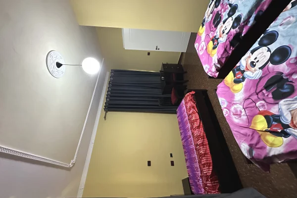Shtepi me qera Apartament ne Tirane, 1+1, Mobilimi E mobiluar, Pagesa 60,000  Leke.