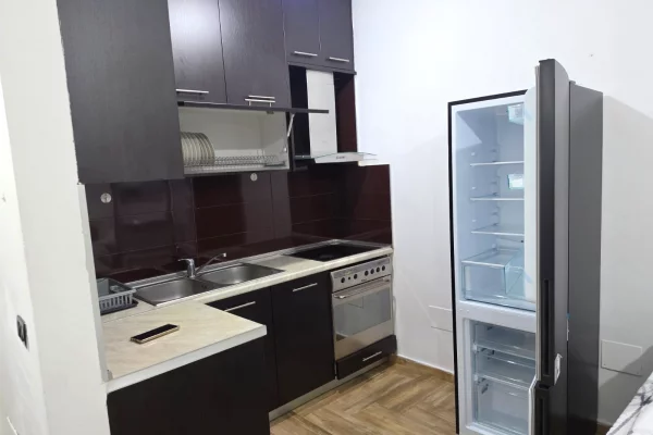 Apartament tek rrethi yzberishtit