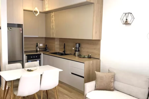Shtepi me qera Apartament ne Tirane, 1+1, Mobilimi E mobiluar, Pagesa 40,000  Leke.