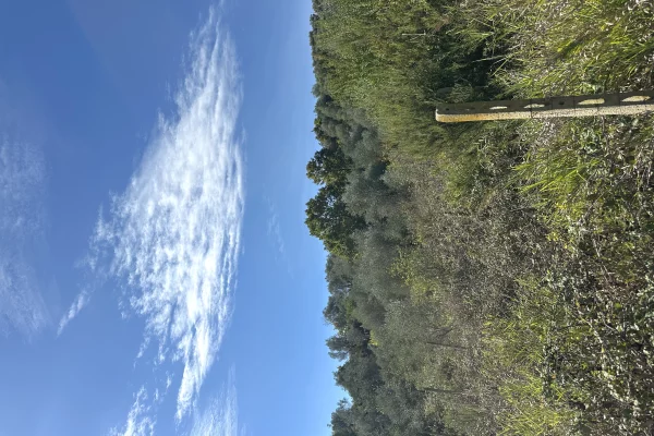 Land for Sale in Tirana - 3,800 Leke