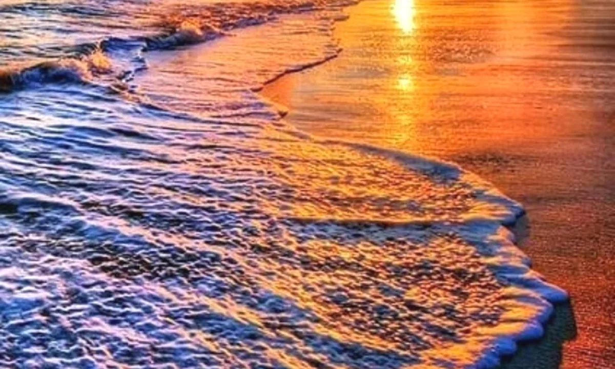 Toke per shitje ne Tale