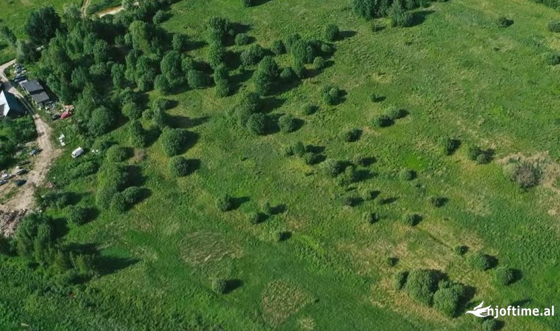 Shitet Toke prane Rinasit