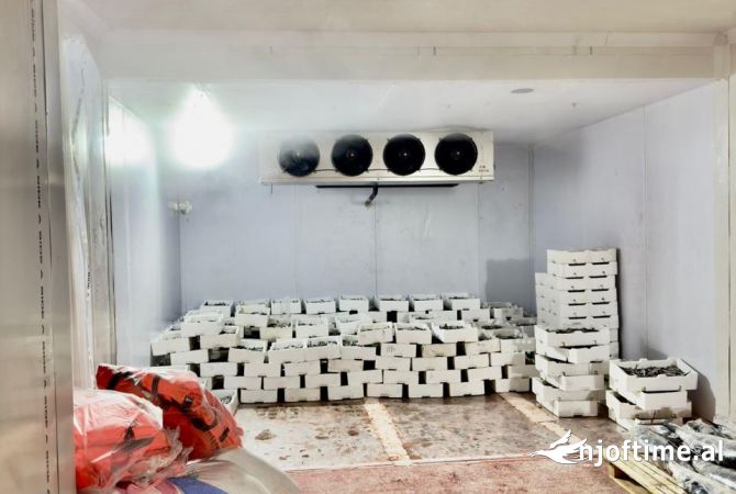 Shitet magazin peshku ne Vlore !