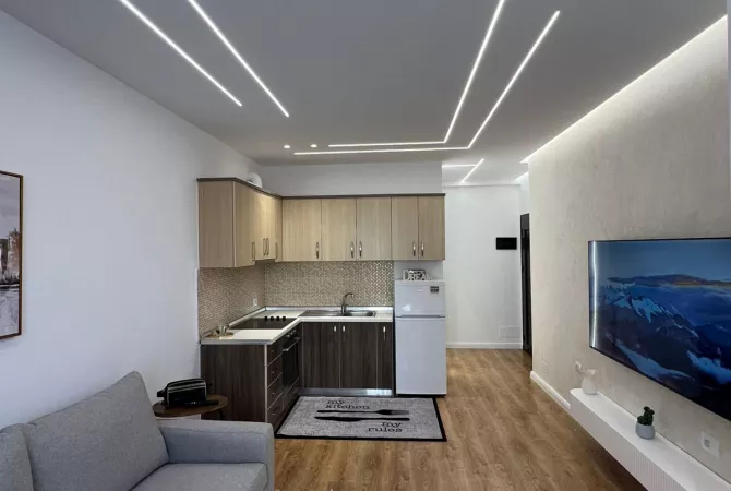 Shtepi ne shitje Apartament ne Tirane, Garsoniere, Mobilimi E mobiluar, Pagesa 67,000  Euro.