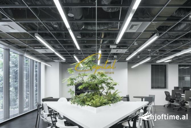 Ambiente Commerciale in Affitto 1+1 a Tirana - 200,000 Leke