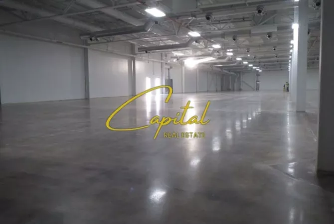 Business Property for Rent 4+1 in Tirana - 2,500 Euro