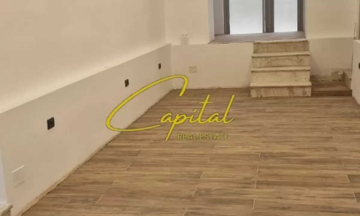 SHITET DYQAN 55 M2 ISH STACIONI TRENIT 270.000 EURO