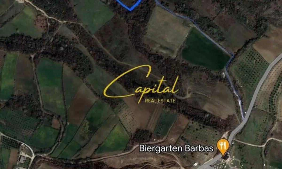 SHITET TOKE 8000 M2 DAIAS 455.000 EURO