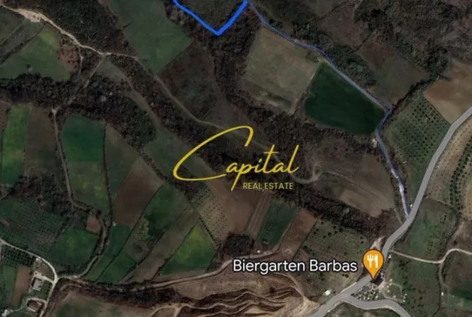 Truall ose Toke ne Tirane - 455,000 Euro