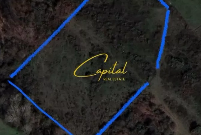 Truall ose Toke ne Tirane - 455,000 Euro