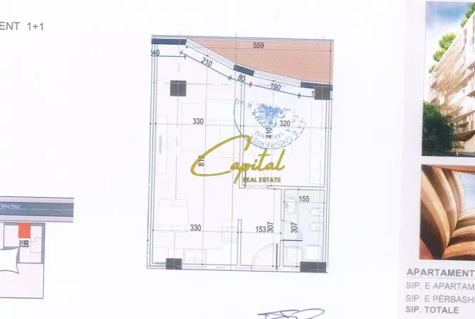 Business Property for Rent 3+1 in Tirana - 750 Euro