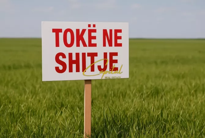 Truall ose Toke ne Tirane - 615,000 Euro