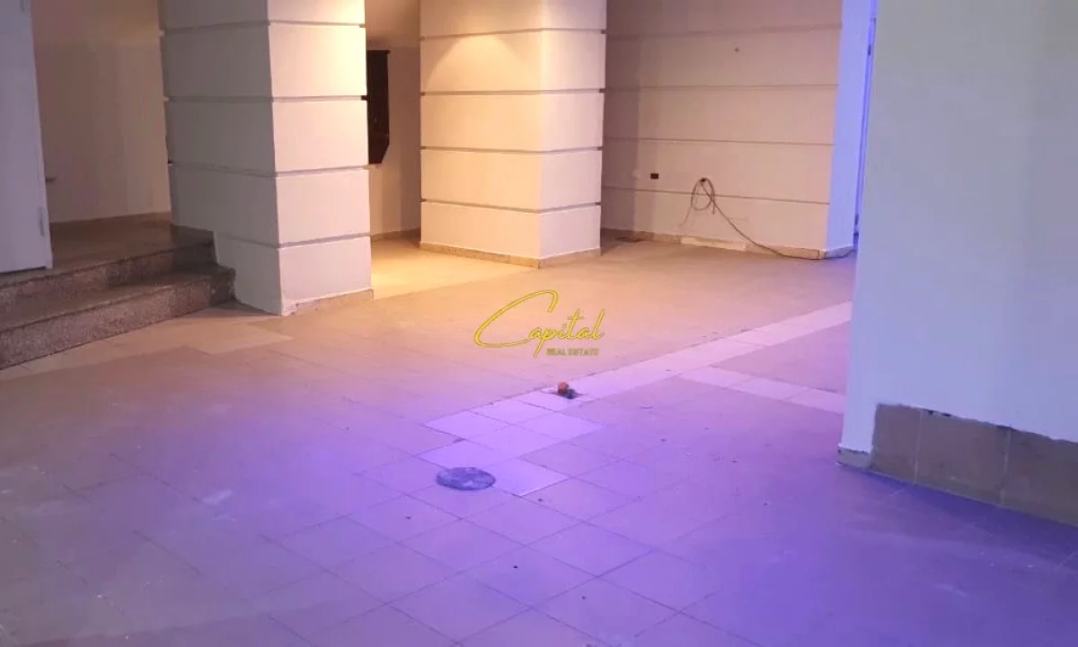 AMBIENT BIZNESI ME QERA 170 M2 VASIL SHANTO 750 EURO